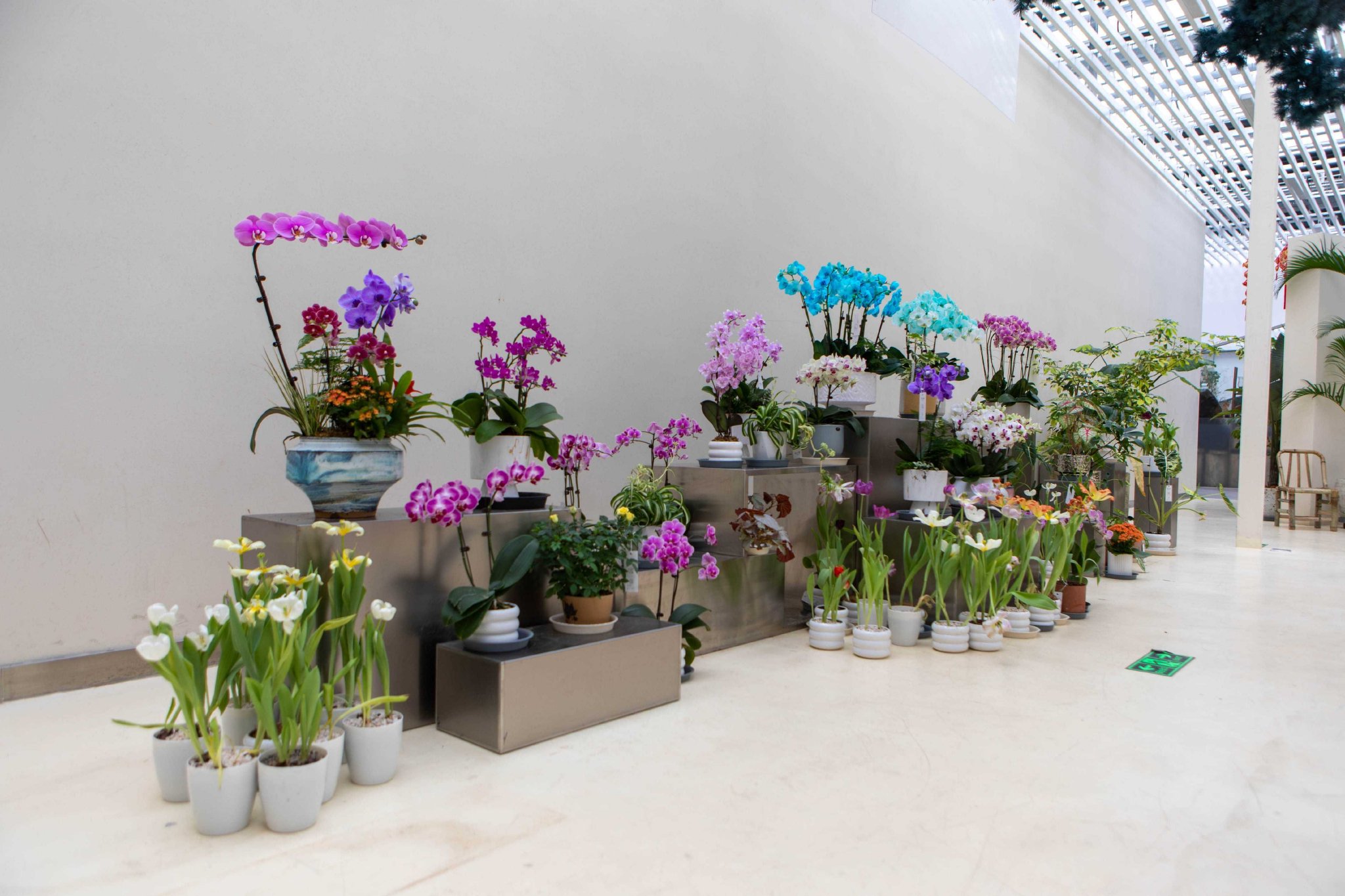 将生态优势转化为发展优势 引领花乡走"花"路