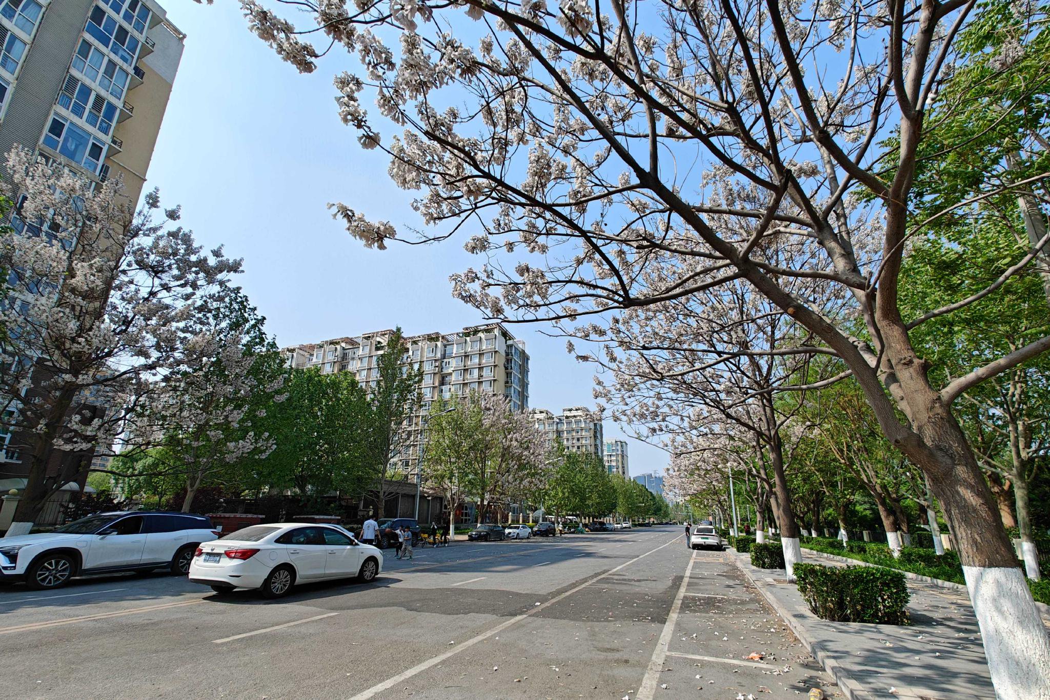 将生态优势转化为发展优势 引领花乡走"花"路