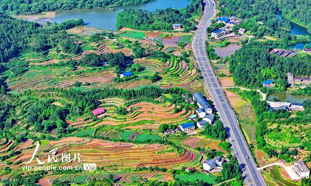 江西瑞金:路在景中延 车在绿中行