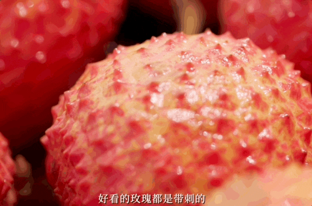 没有这座广东小城的荔枝,我的夏天都不完整了