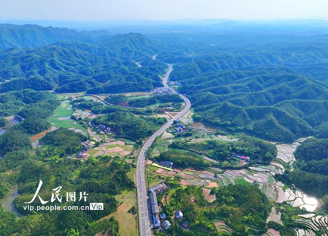 江西瑞金:路在景中延 车在绿中行