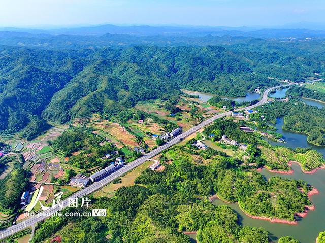 江西瑞金:路在景中延 车在绿中行