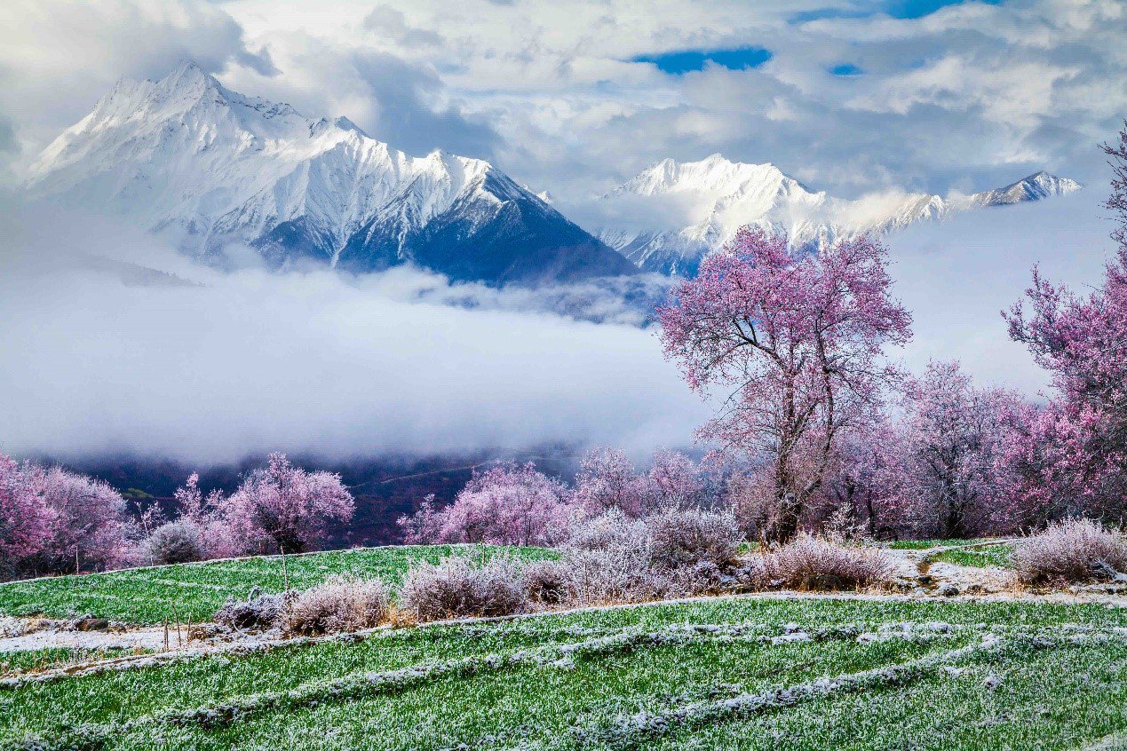 自然堂首次定义疲惫式衰老特征,开创细胞级新生抗老理念