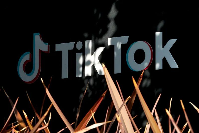 TikTok资料图。图源：视觉中国