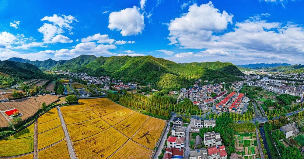 瞭望丨树人成势