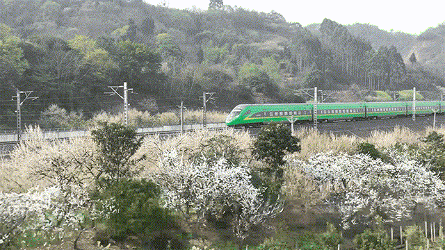 ▲飞驰的新成昆。图据人民铁道