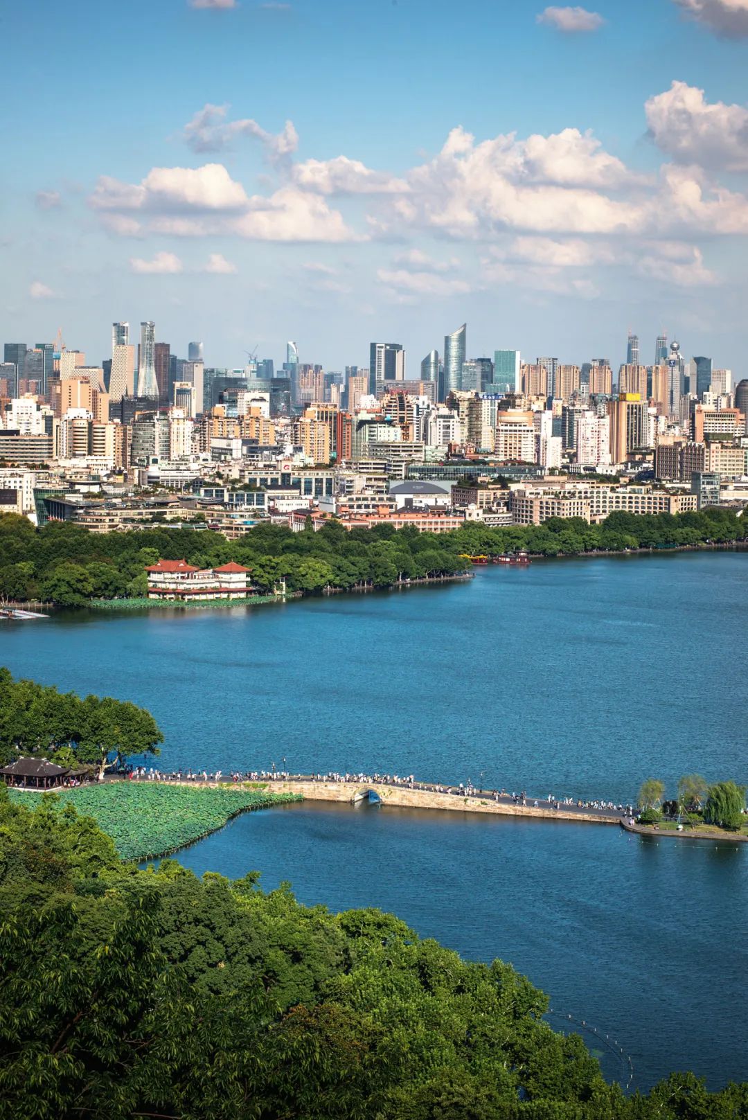 新城市志︱多城全面取消限购,楼市进入市场主导时代?