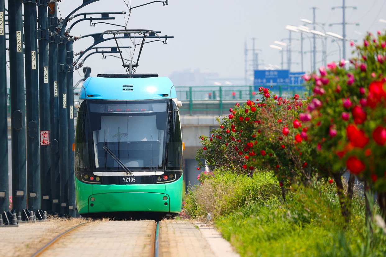 图集|来北京亦庄赏初夏花"漾"浪漫