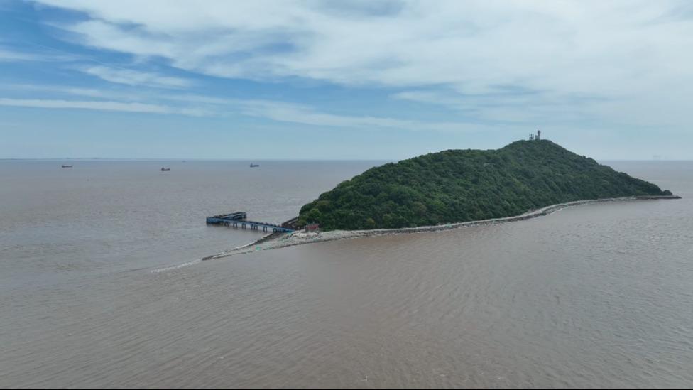 猴出没请注意 上海"桃花源"大金山岛探秘