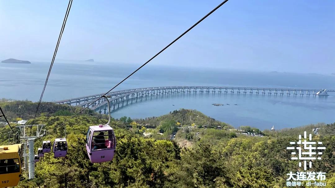 大连市_新浪财经_新浪网