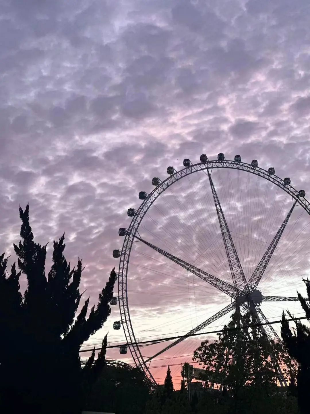 melody@柴进@玉花都拍到了哪些浪漫时刻一起来看小布的摄影天团晚霞