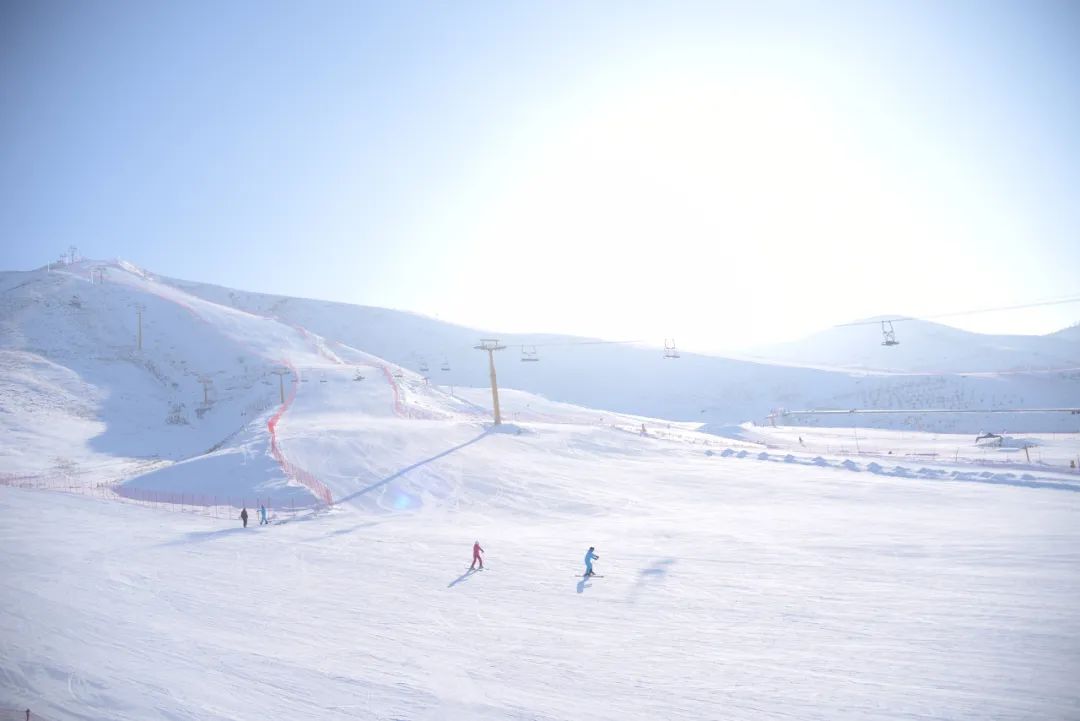 阿勒泰将军山滑雪场。（图/图虫创意）