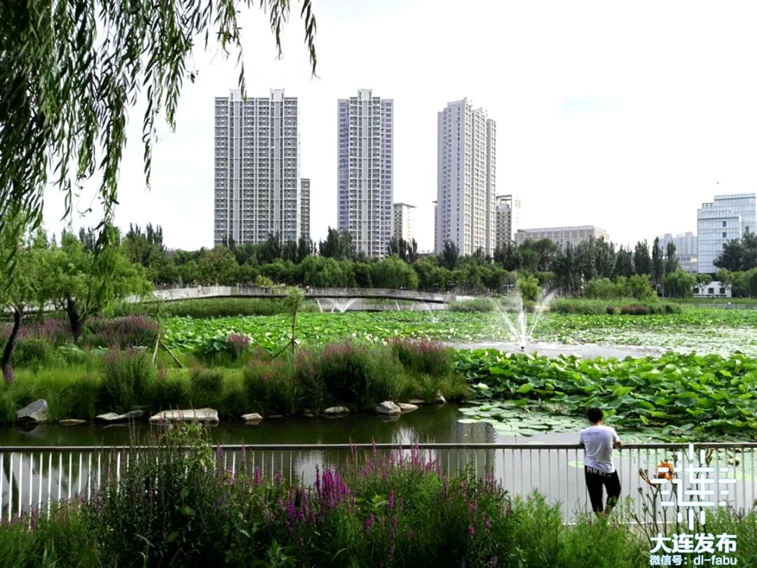 "自带香气",大连浪漫极了!