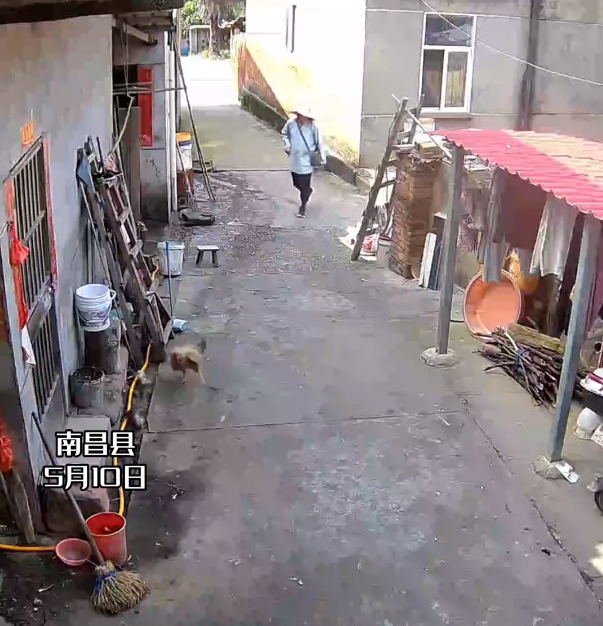 "这是佑民寺的开光符咒