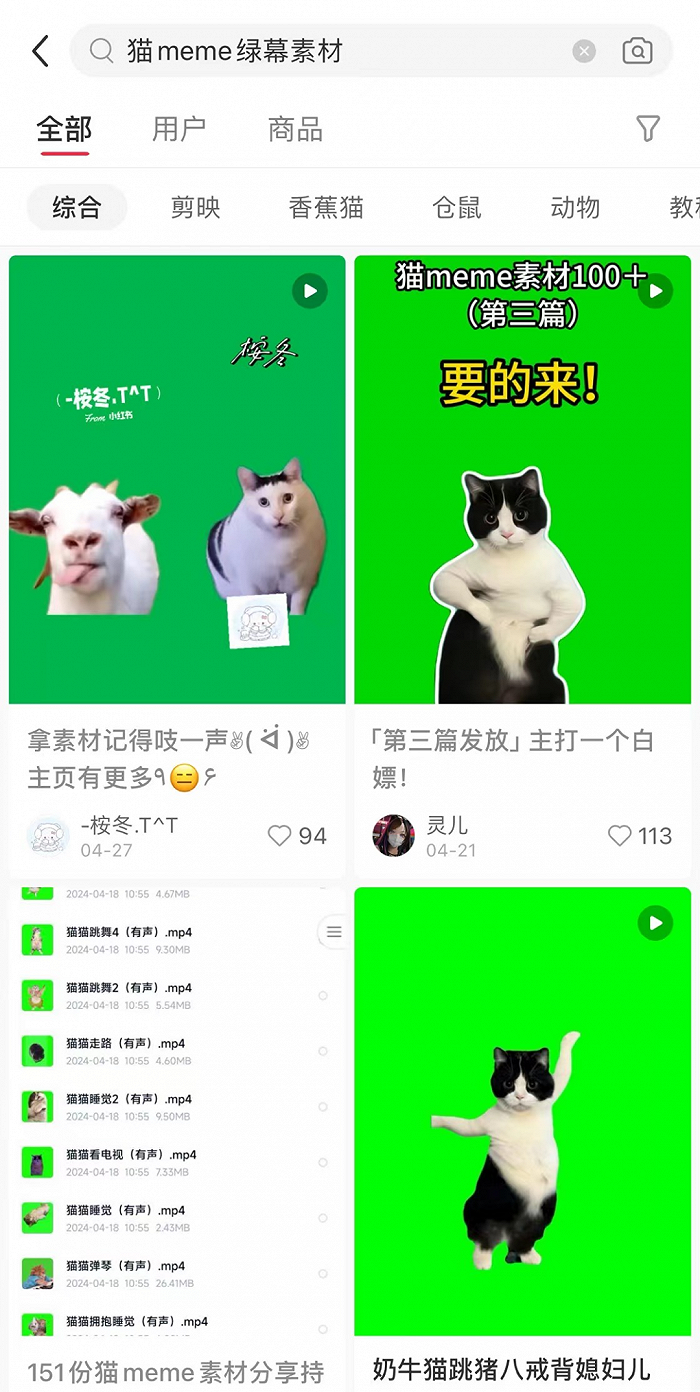猫meme走红,赛博时代的"情绪消化剂"