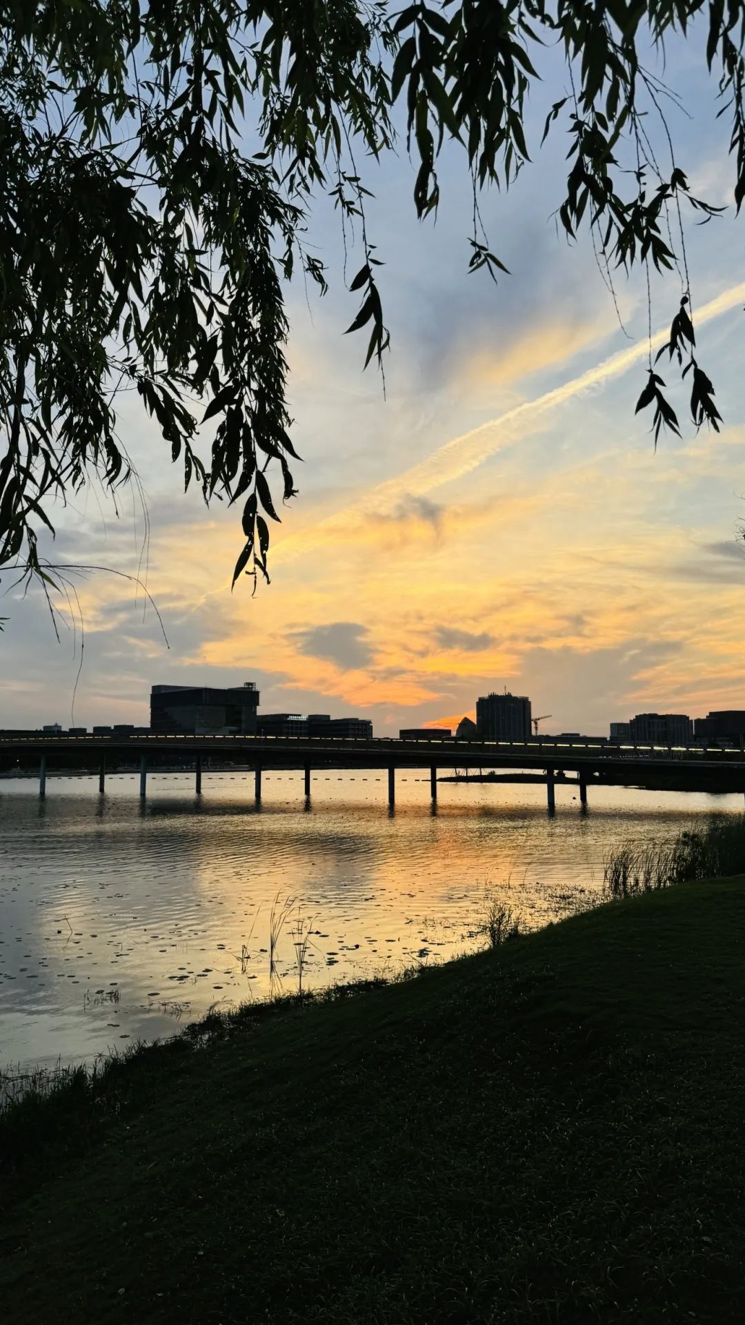 melody@柴进@玉花都拍到了哪些浪漫时刻一起来看小布的摄影天团晚霞