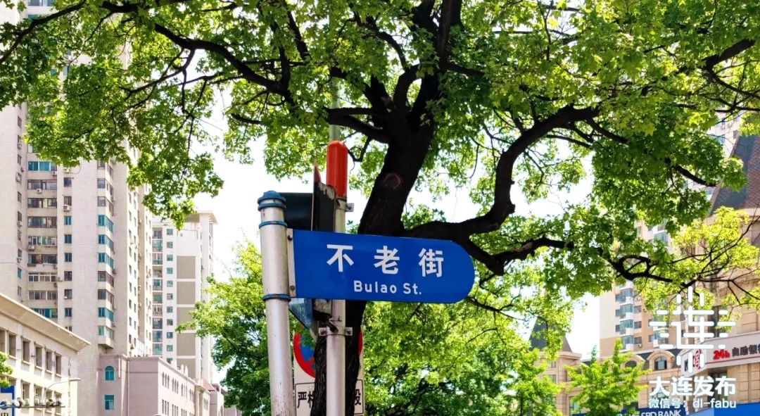 part 3有的路名以"海"相连大连三面环海,拥有着得天独厚的海洋资源和