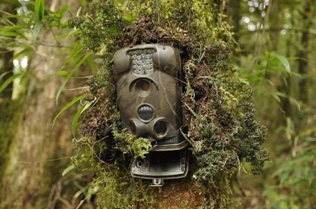 国安部披露:“外国教授”借生态科研名义,搜集窃取安全数据