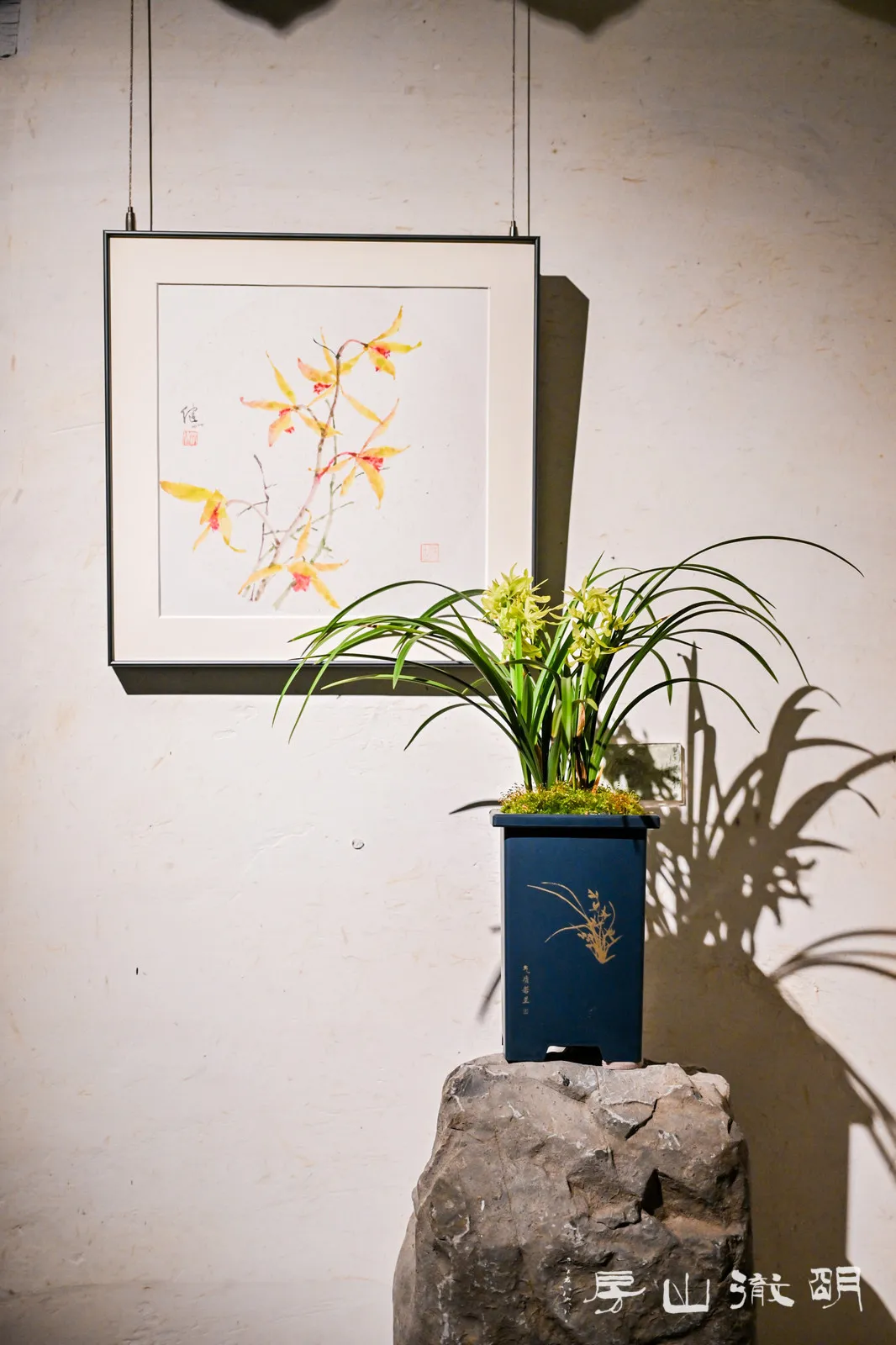 【闲情偶植】兰花与空间美学 ——写在"兰之猗猗"展的后面 | 谈瀛洲