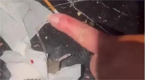 五一出行不踩坑！鸿蒙应用自带出游buff，逛吃游玩全拿捏
