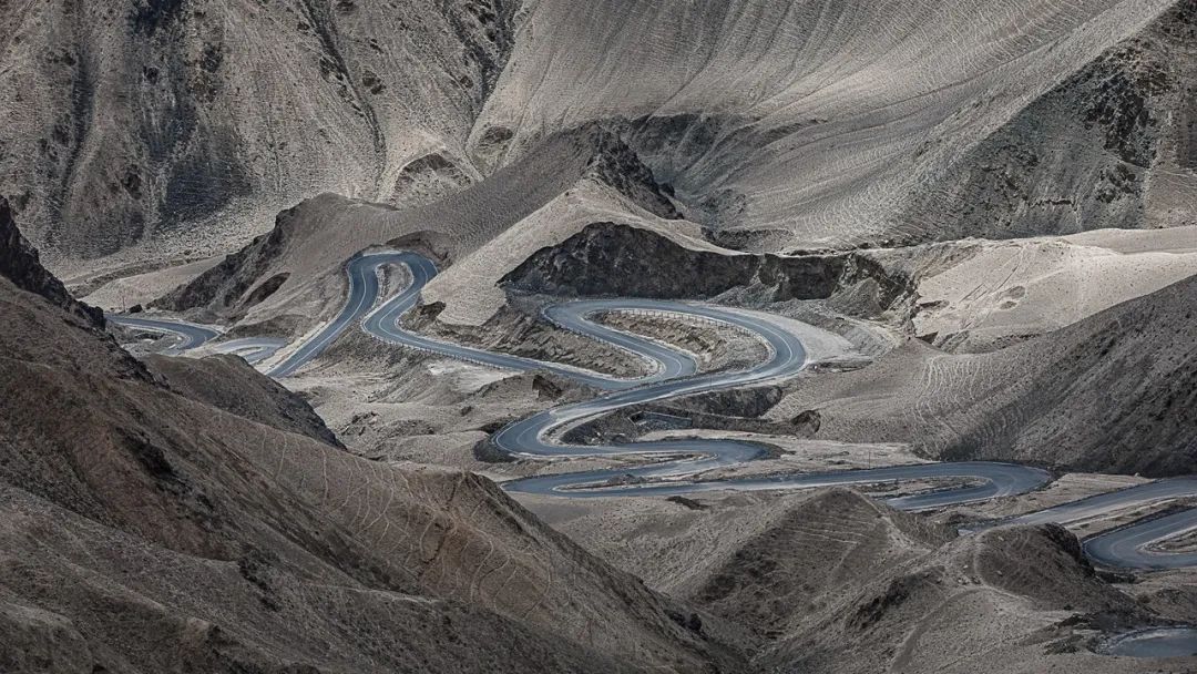 图片来源:图虫创意作者 |张汀雯编辑 |高秋榕近日,新疆公共资源交易网