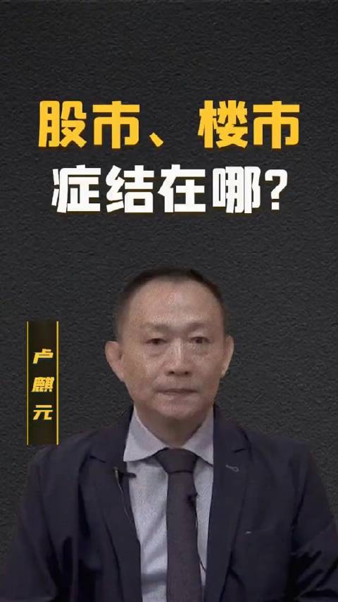股市楼市做了什么,最终谁是那个背锅侠,著名经济学家卢麒元谈论资本市场做法|经济学家|资本市场_新浪新闻