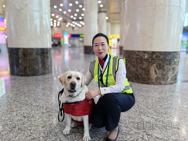 张璐与导盲犬"萌桔"(本文图片均由黎虹拍摄)据了解,南航大连分公司