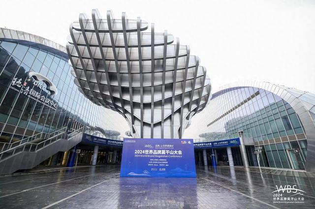 天狮集团2024世界品牌大会健康品牌中国发展论坛喜获授牌