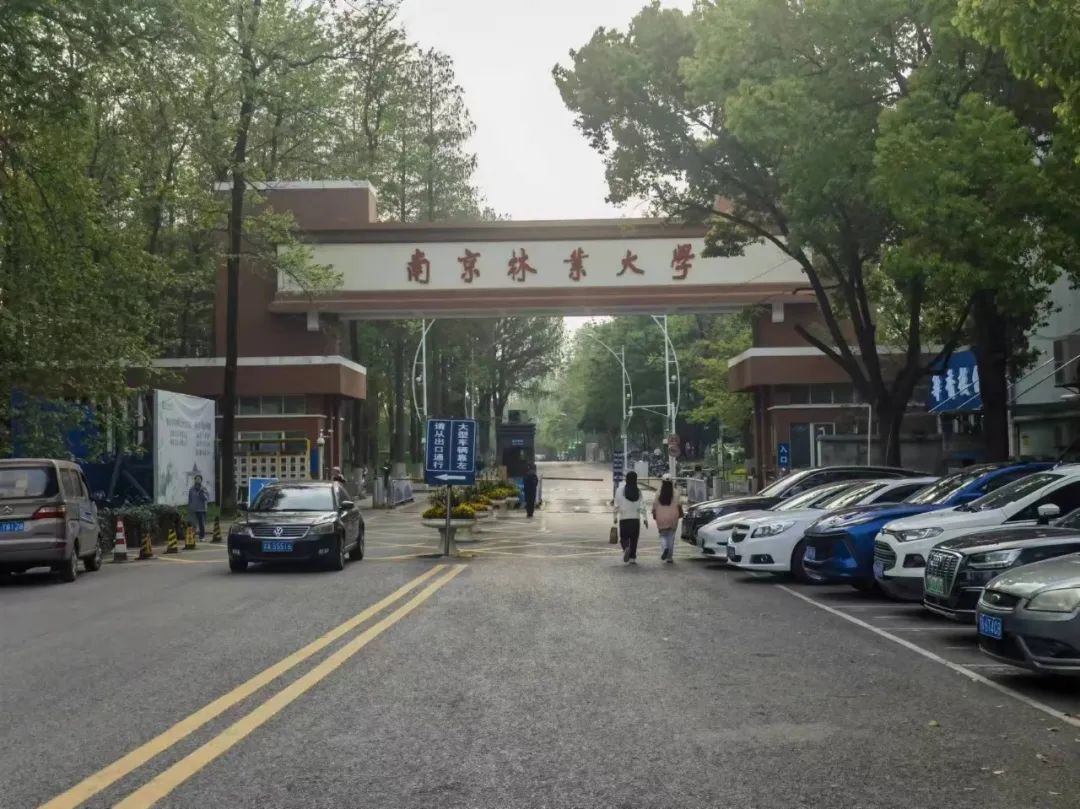 南京林业大学青年教师自杀,校方否认"非升即走"