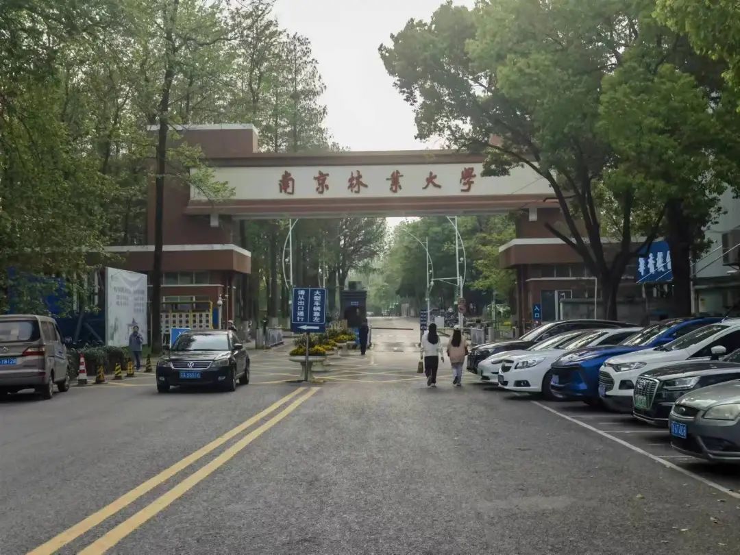 ▲南京林业大学。新京报记者 李照摄