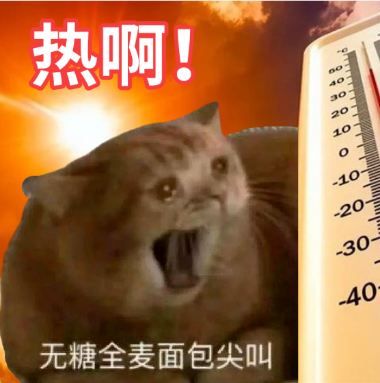 下月起,你的工资将多一笔钱!连发5个月