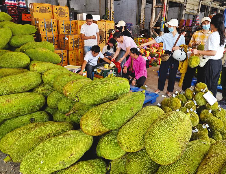     ◀水果市场里木菠萝大量上市，市民纷纷选购。本报记者梁枫 摄