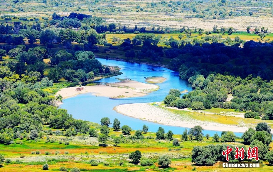 我的阿勒泰结局续写 爱情与归途的故事