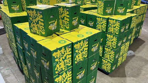 货仓中大批禁止蕉绿在等待出货/图片来源:受访者供图北京新发地批发