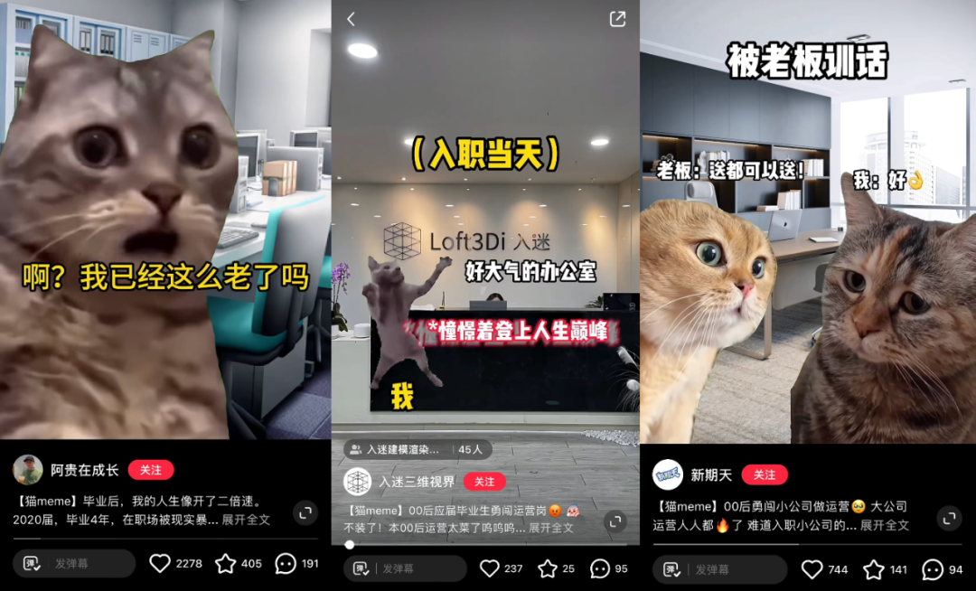 猫meme走红,赛博时代的「情绪消化剂」|日本_新浪科技_新浪网