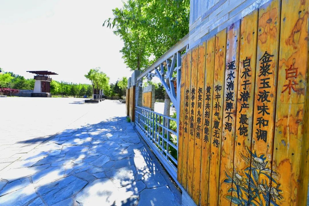 中医药文旅基地 林药共生,副中心药香渐浓