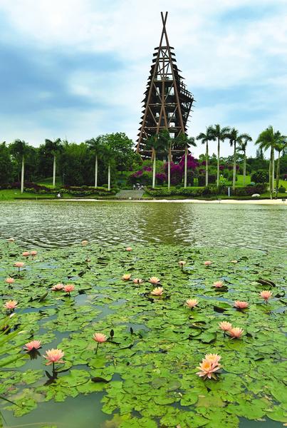 本报记者梁枫 摄南湖公园的凤凰树开出一捧捧火红的花朵,灿若云霞.