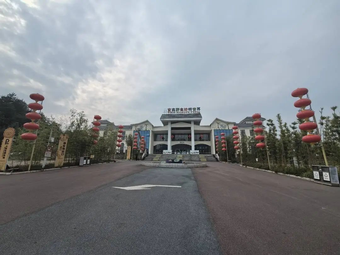 别再被骗了！唐努乌梁海从没有1994年脱离中国，真相远超想象v1.1.7 官方安卓版