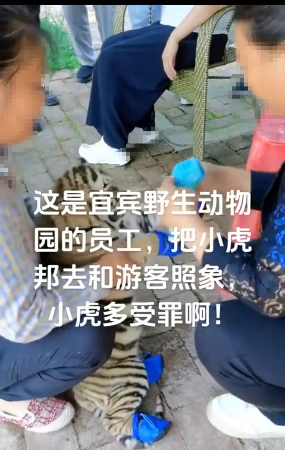 清乾隆青金石御题《携琴访友图》山子欣赏
