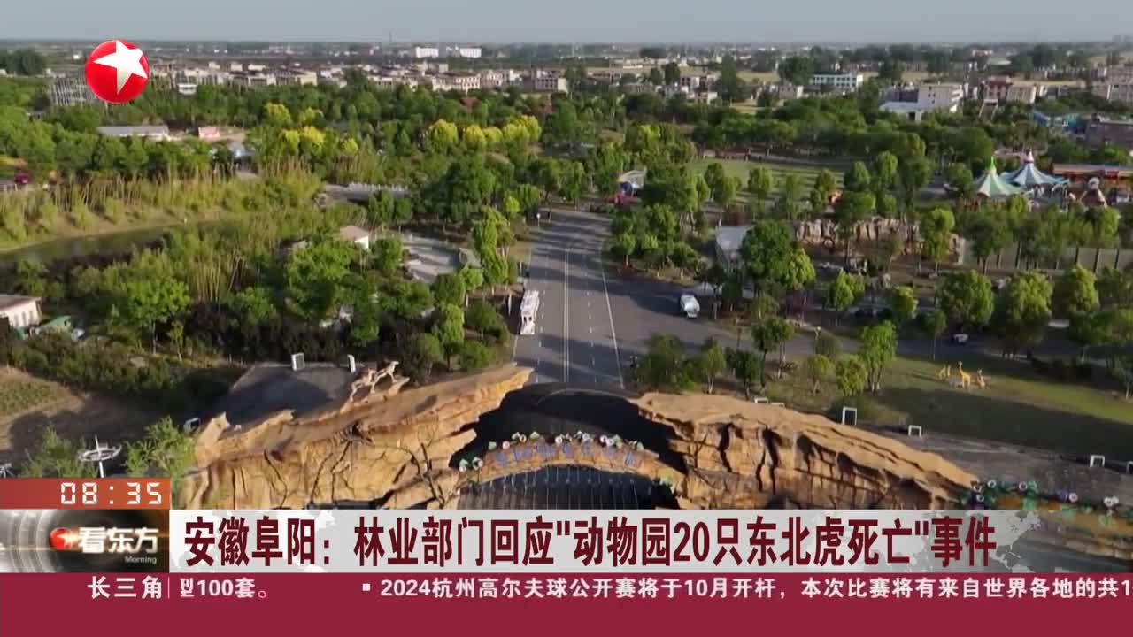 安徽阜阳:林业部门回应"动物园20只东北虎死亡"事件 涉事动物园东北虎