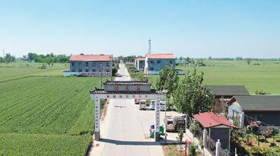 刘皮村的那些人那些事|虞城县_新浪财经_新浪网