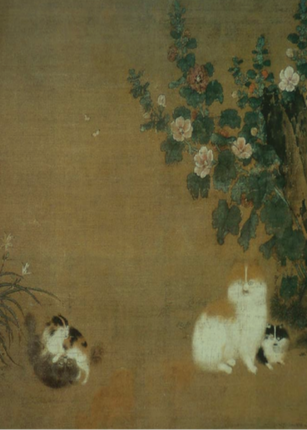 宋代猫奴手册①︱衔蝉毛色白胜酥