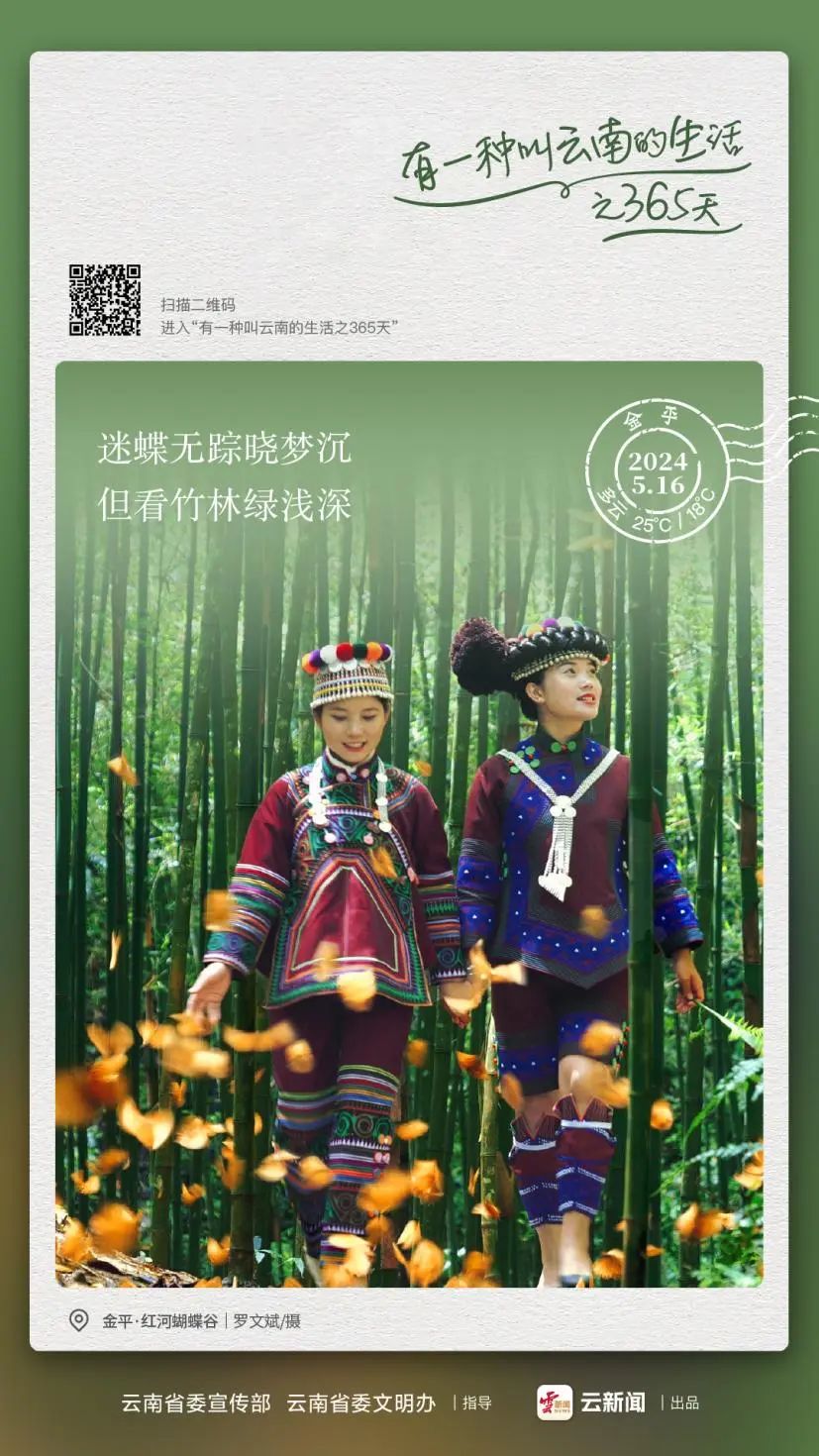 红河蝴蝶谷即将迎来今年的蝴蝶大爆发上亿只蝴蝶将集中羽化飞舞如童话