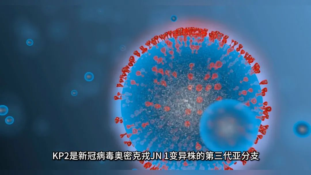 新冠病毒新变异株已进入我国!最新解读