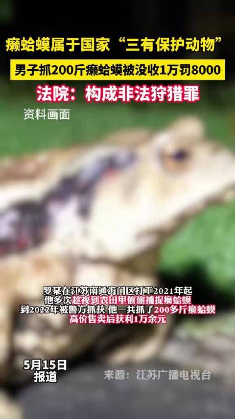 青蛙和癞蛤蟆的区别