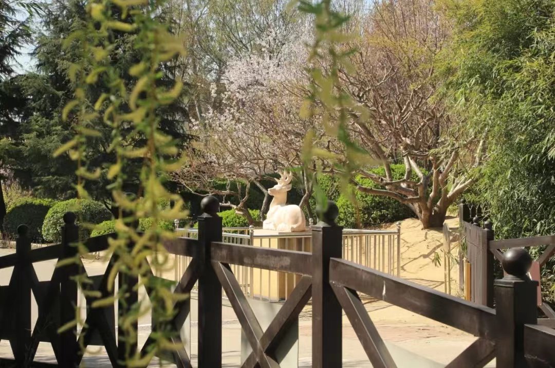 来王四营赴一场文化之约,览一片绿意盎然