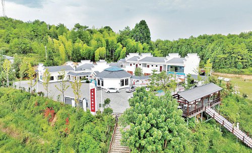 石城县高田镇新坪村的十里红杜鹃农庄.