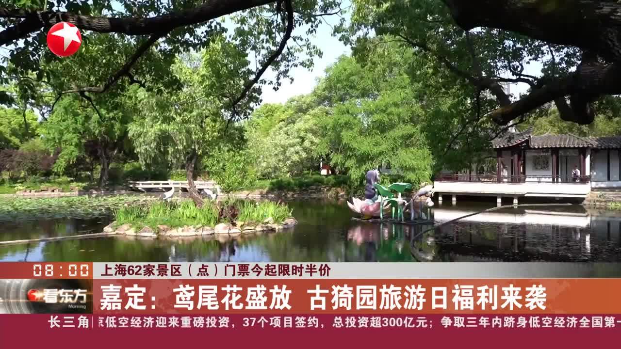 上海62家景区(点)门票今起限时半价 嘉定:鸢尾花盛放 古猗园旅游日