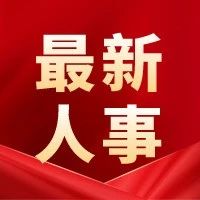 村主任书记可以任何情况下随时双免 村长在届期不满上级有没有权利辞职