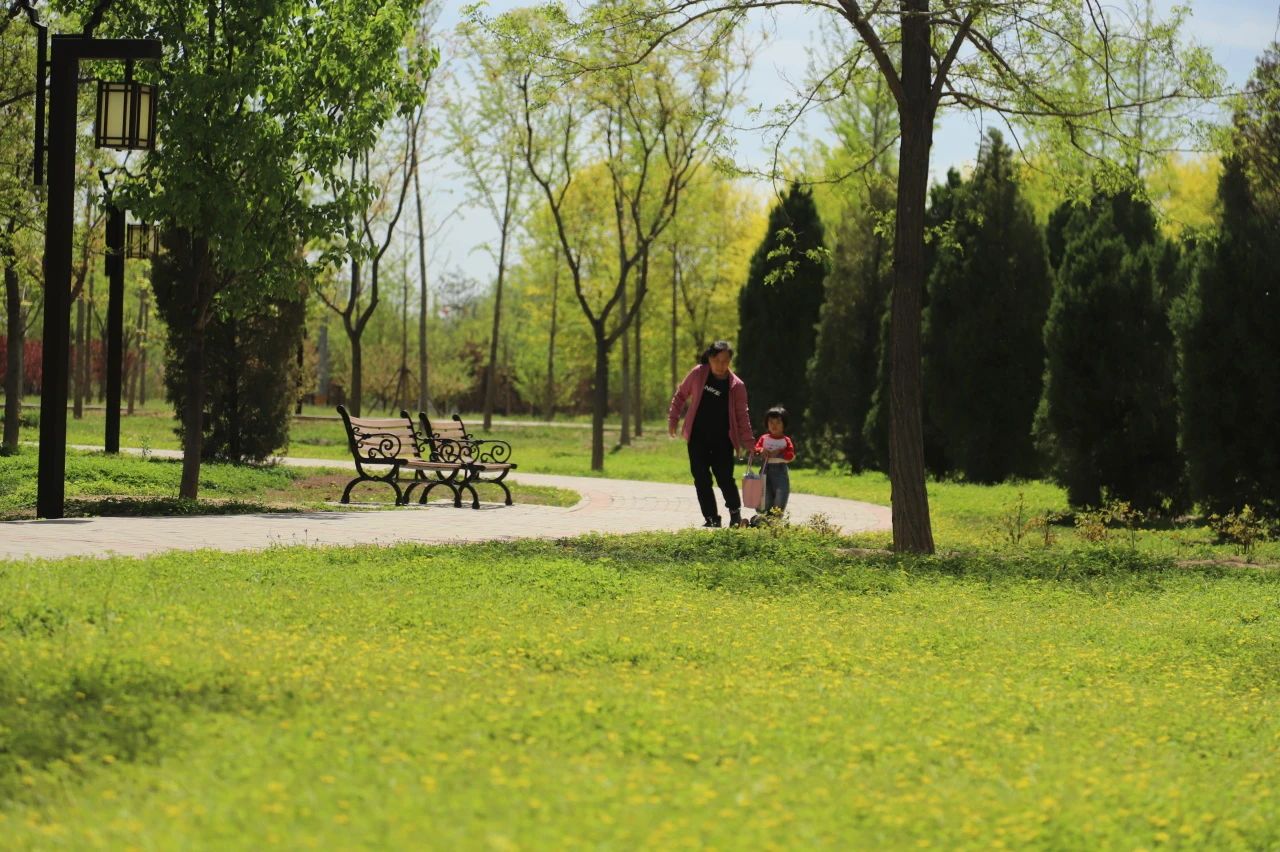 来王四营赴一场文化之约,览一片绿意盎然